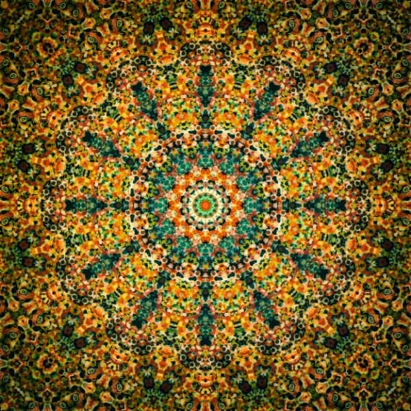 Il Giardino artwork